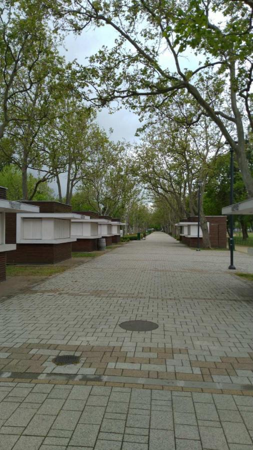 Lavender Apartment Balatonboglár المظهر الخارجي الصورة